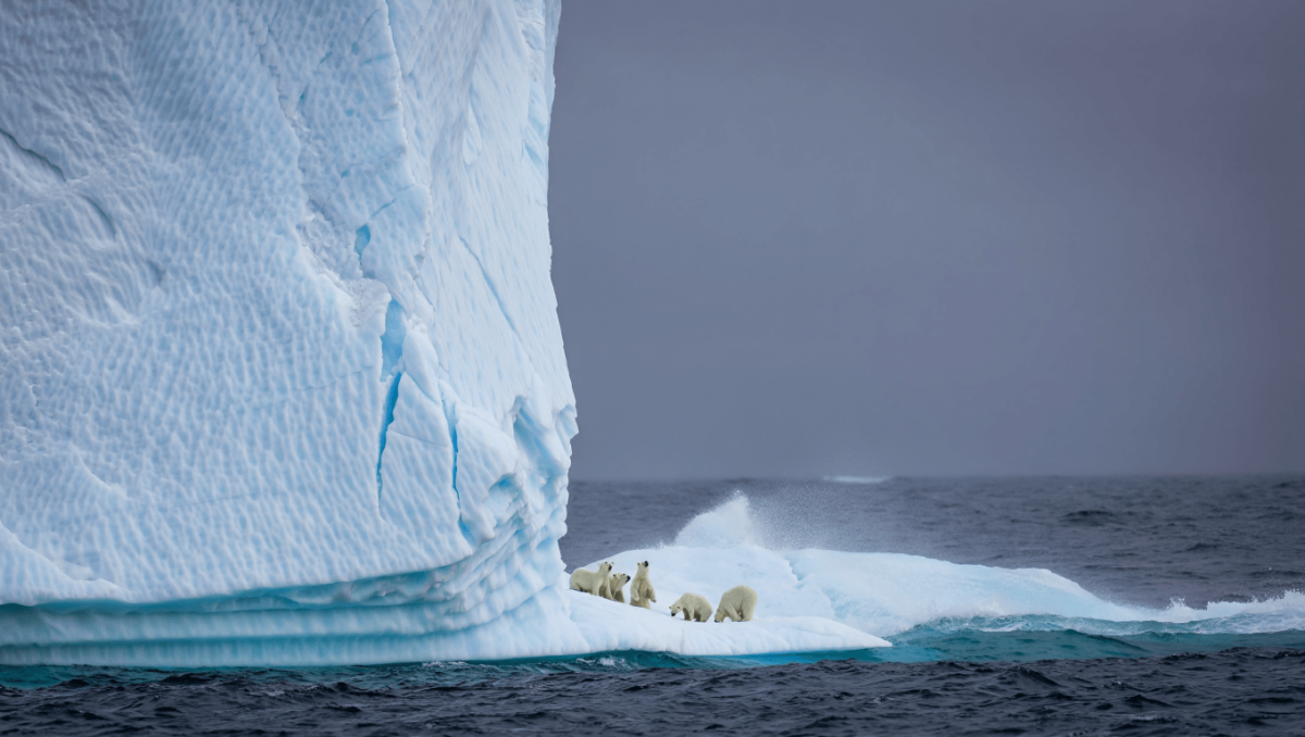 Greenland 2: Migration, da stasera in prima Tv su Sky e NOW
Cinema
sky cinema
Arriva su Sky Cinema in prima TV il sequel dell’action thriller con Gerard Butler e Morena...
13 lug - 08:14