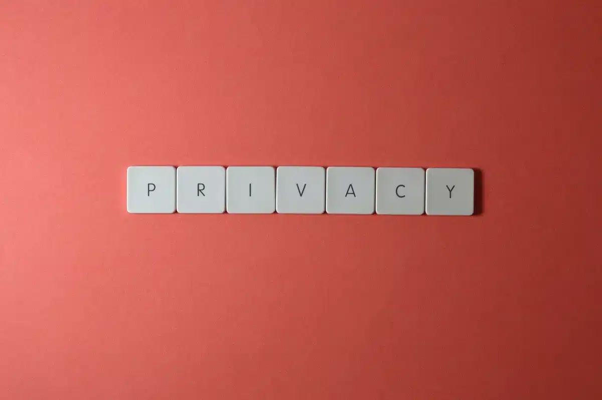Documenti e tracce digitali in fase di cancellazione da archivi online