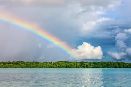 Una costa rocciosa con acque turchesi e isole lontane all'orizzonte, che suggerisce l'esplorazione marina