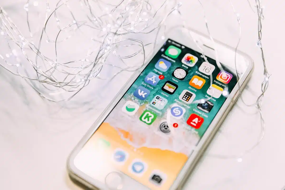 Schermo iPhone che mostra un controllo di privacy durante una videochiamata