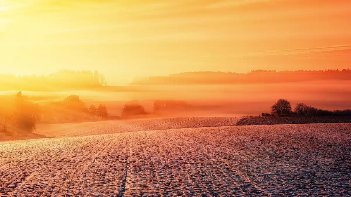 Campi nebbiosi al mattino con luce ambrata che ricorda la campagna bulgara